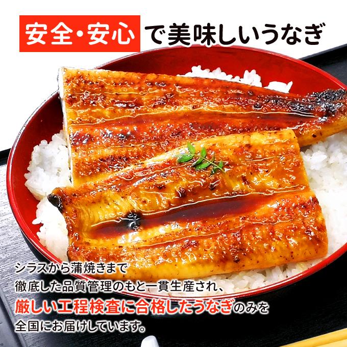 鹿児島産 新 超特大 国産 うなぎ蒲焼き 約250g1尾 送料無料 海鮮 プレゼント グルメ ギフト｜iwamatsu-salmon｜04