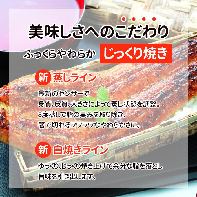 鹿児島産 新 超特大 国産 うなぎ蒲焼き 約250g1尾 送料無料 海鮮 プレゼント グルメ ギフト｜iwamatsu-salmon｜05