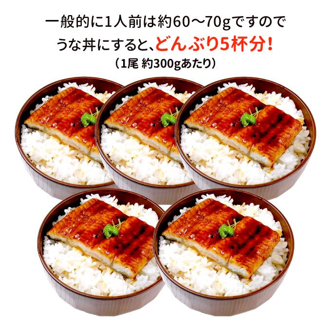 どデカ5尾 しあわせのうなぎ蒲焼き 超ド級特大 約1.7kg（約340g×5尾