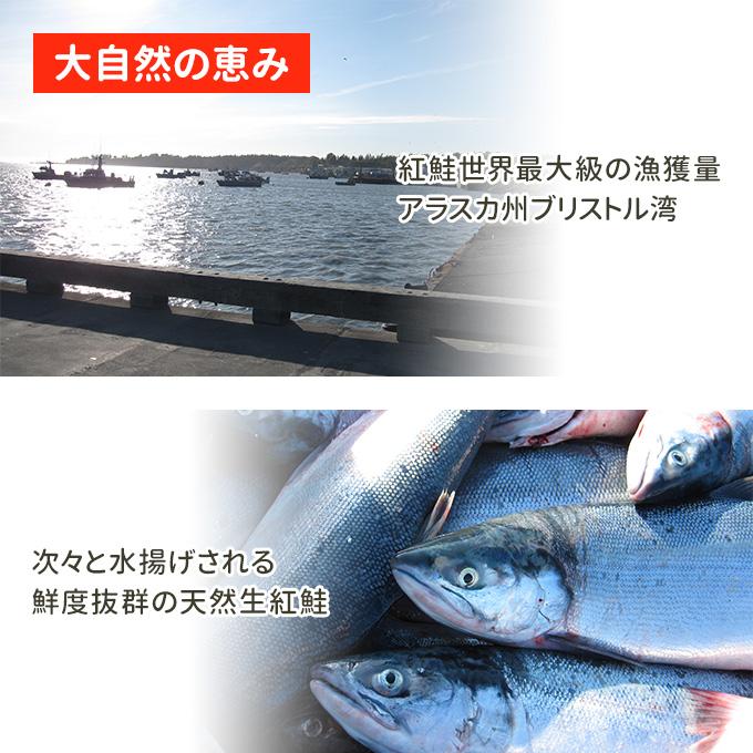 天然紅鮭塩筋子 1kg 送料無料 お取り寄せグルメ プレゼント グルメ 海鮮 ギフト｜iwamatsu-salmon｜05