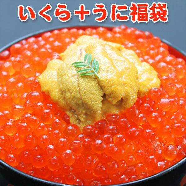 いくら 醤油漬け アラスカ 0g うに 100g 送料無料 福袋 ギフト お取り寄せグルメ Www Arilab Com Tr Index Php
