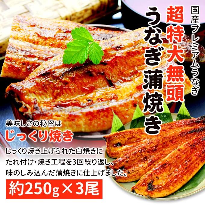 鹿児島産 新 超特大 国産 うなぎ蒲焼き 約250g×3尾 送料無料 海鮮 プレゼント グルメ ギフト_1