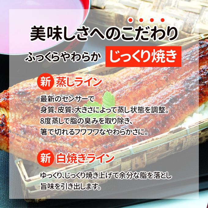 鹿児島産 新 超特大 国産 うなぎ蒲焼き 約250g×3尾 送料無料 海鮮 プレゼント グルメ ギフト_5