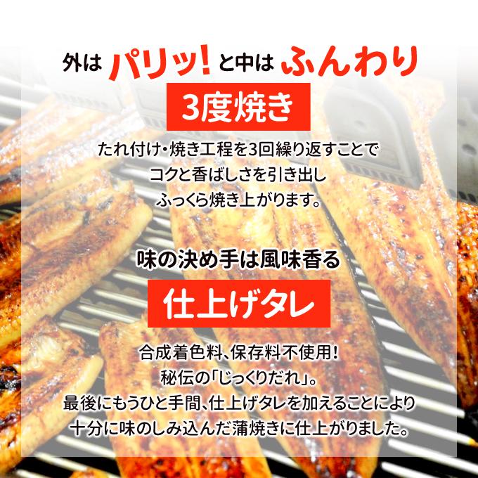 鹿児島産 新 超特大 国産 うなぎ蒲焼き 約250g×3尾 送料無料 海鮮 プレゼント グルメ ギフト_6
