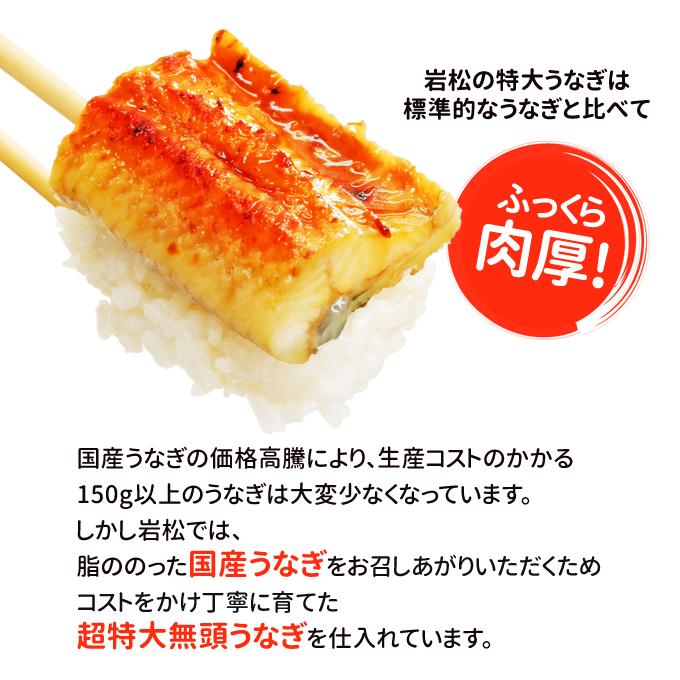 鹿児島産 新 超特大 国産 うなぎ蒲焼き 約250g×3尾 送料無料 海鮮 プレゼント グルメ ギフト_7