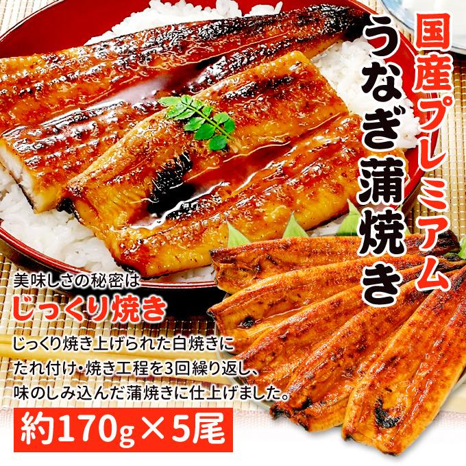 鹿児島産 新 国産 うなぎ蒲焼き 約170g×5尾 送料無料 お取り寄せグルメ 海鮮 プレゼント グルメ ギフト｜iwamatsu-salmon｜02