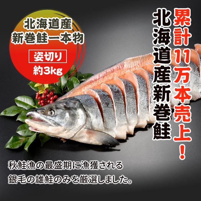2025年新物！北海道産 新巻鮭一本物 姿切り約3.0kg 送料無料 海鮮 お