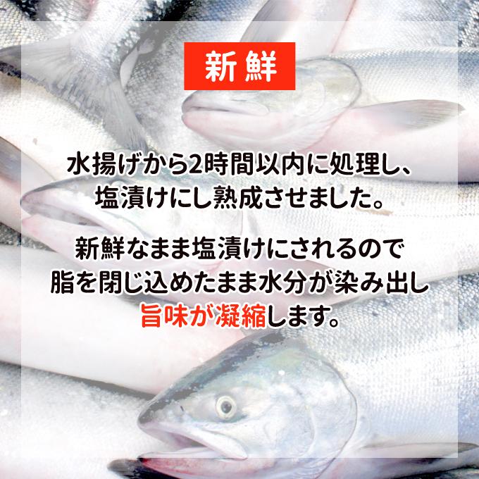 2023年新物！北海道産 新巻鮭一本物 姿切り約3.0kg 送料無料 海鮮 お取り寄せグルメ ギフト 新巻き鮭｜iwamatsu-salmon｜08