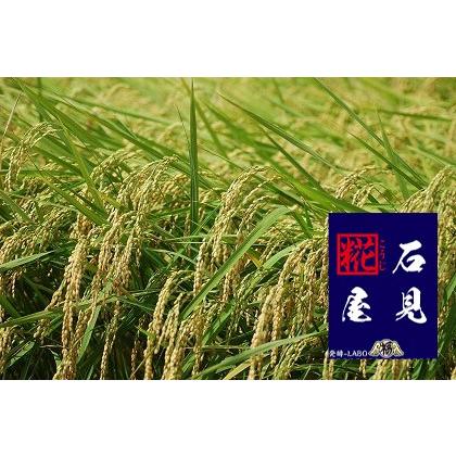 石見糀屋 特製 麹蓋製造 米こうじ（生こうじ） 300グラム : 石見