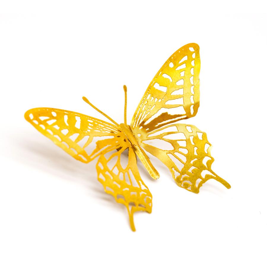 メタルホビー「アゲハチョウ」 |  | 02