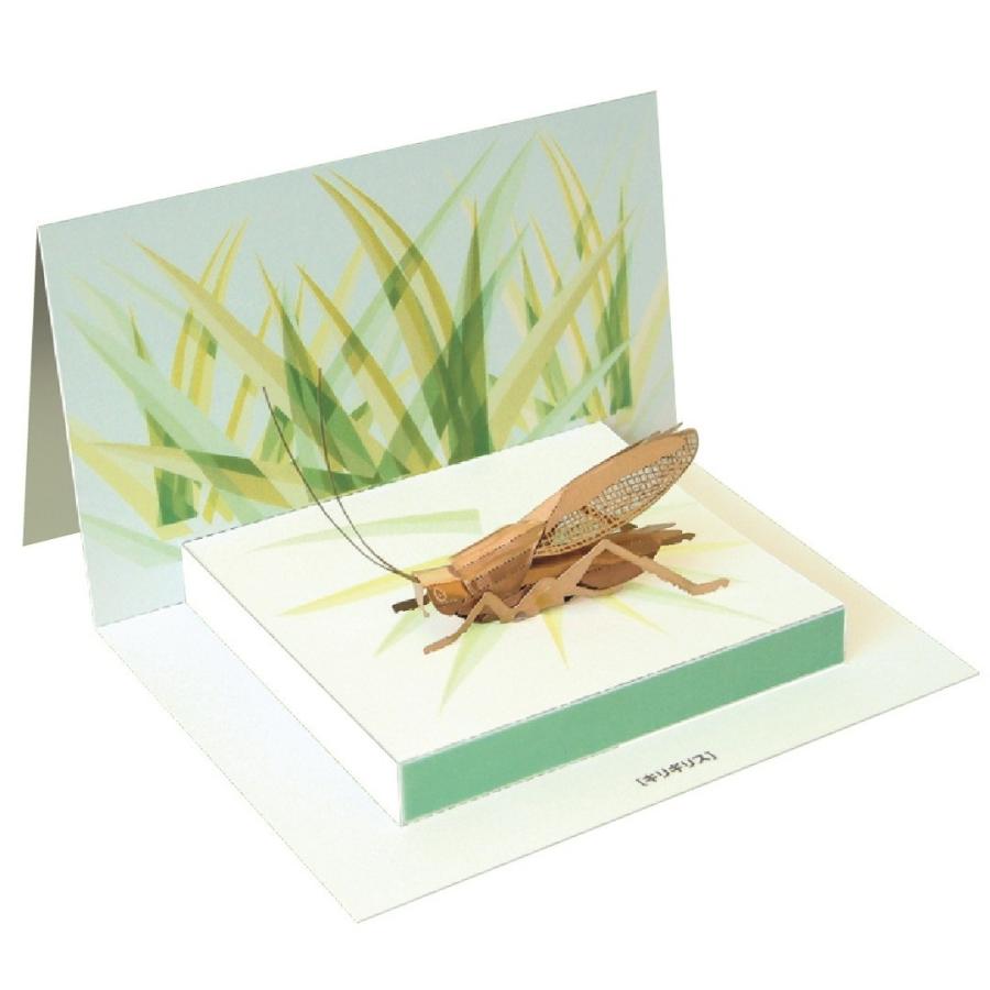 メタルホビー「キリギリス」 | 