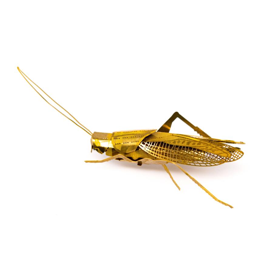 メタルホビー「キリギリス」 |  | 02