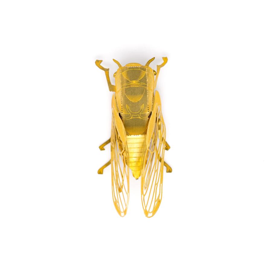 メタルホビー「クマゼミ」 |  | 01