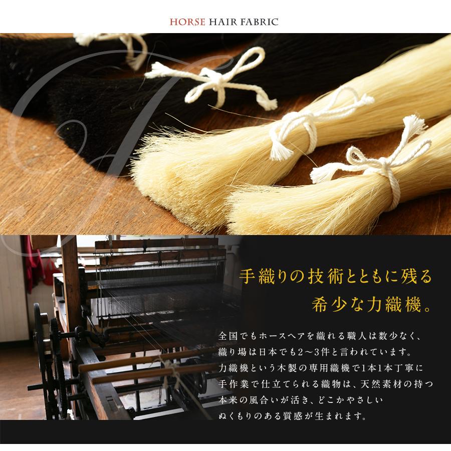 岩佐公式 直営店限定 フォーマルバッグ 日本製 大きめ 岩佐 ブランド ホースヘア 葬儀 お葬式 弔事 慶弔両用 かばん 黒 喪服バッグ 冠婚葬祭 法事 iw60810の画像
