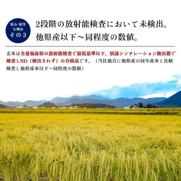令和6年産 米 玄米30kg 白米27kg 福島県 中通産 天のつぶ 小分け