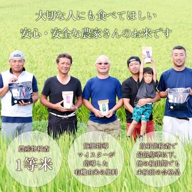 令和6年産 米 20kg 白米 福島県 中通産 天のつぶ 精白米(5kg×4袋