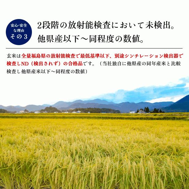 農家直送(令和6年産) 福島県中通り産20kg 新米 令和6年産 米 20kg 白米 福島県 中通産 天のつぶ 精白米(5kg×4袋