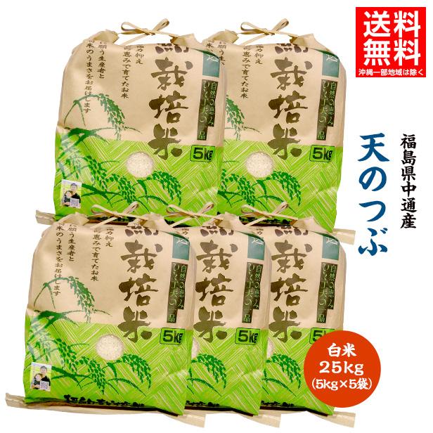 令和7年産 米 25kg 白米 福島県 中通産 天のつぶ 精白米25kg (5kg×5袋 