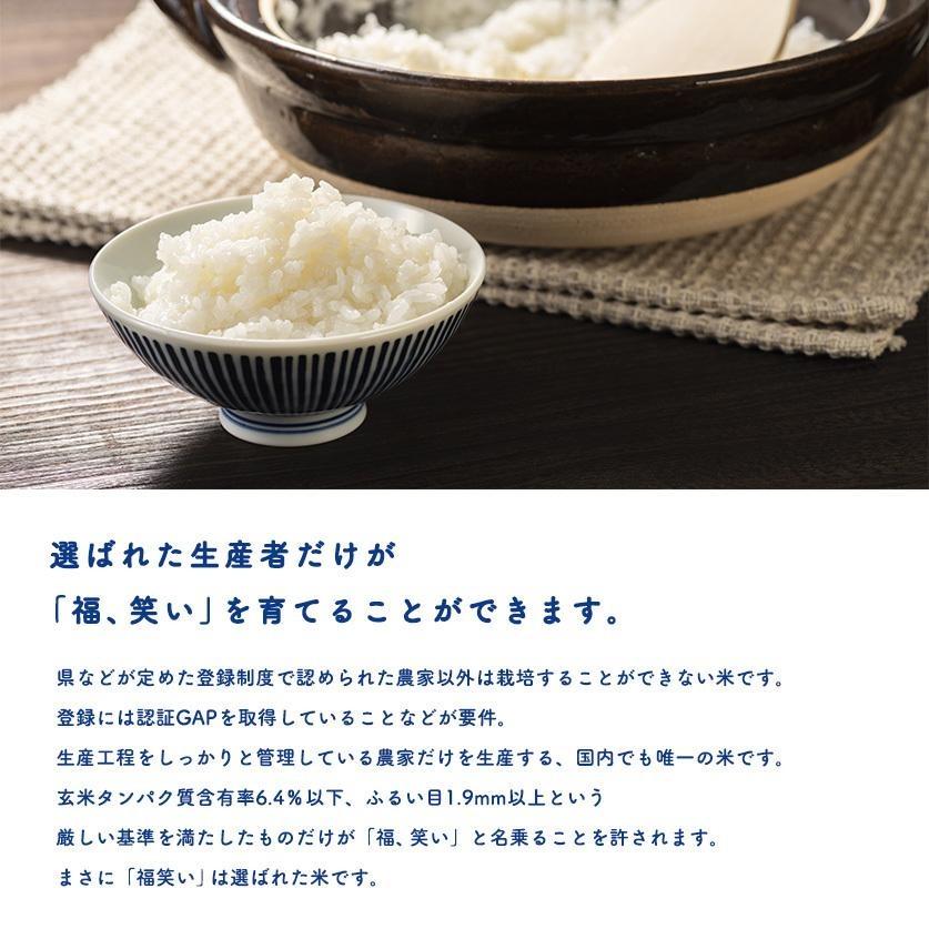 米 20kg 20キロ 玄米20kg(白米20kg)令和6年産 送料無料 福島県 米 20kg 20キロ 玄米20kg(白米20kg)令和6年産 送料無料 福島県