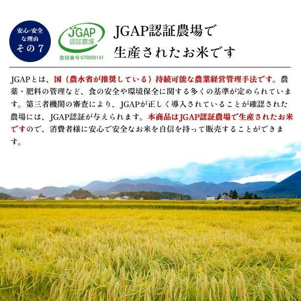 米 20kg 20キロ 玄米20kg(白米20kg)令和6年産 送料無料 福島県 米 20kg 20キロ 玄米20kg(白米20kg)令和6年産 送料無料 福島県