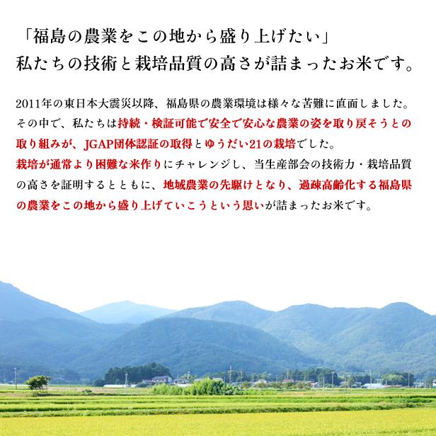 令和6年産 福島県 中通産 ゆうだい21 玄米 30kg お米 2024年第11 令和6年産 福島県 中通産 ゆうだい21 玄米 30kg お米 2024年第11