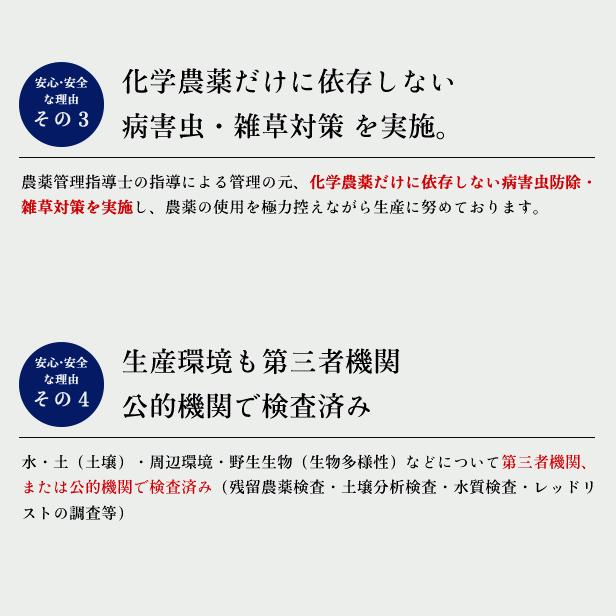 令和6年産 福島県 中通産 ゆうだい21 玄米 30kg お米 2024年第11 令和6年産 福島県 中通産 ゆうだい21 玄米 30kg お米 2024年第11