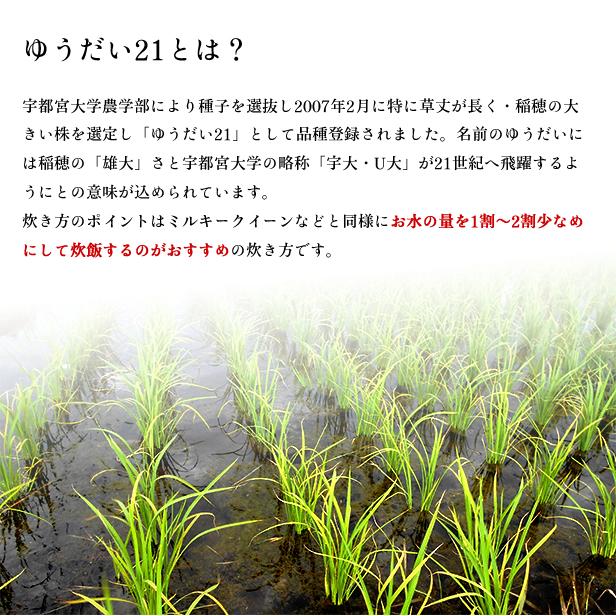 令和6年産 福島県 中通産 ゆうだい21 精白米 10kg (5kg×2袋