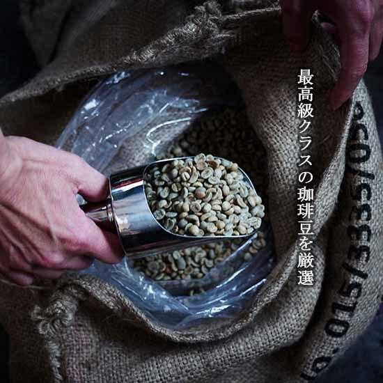 珈琲豆 コーヒー豆 グアテマラ アンティグア アゾティア 400ｇ （200ｇ×2パック) 中細挽き （ハンドドリップにおすすめ） 送料無料　スペシャルティコーヒー |  | 01