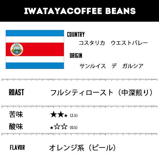 珈琲豆 コーヒー豆 コスタリカ サンルイス ハニー 400ｇ （200ｇ×2パック） 粗挽き （ドリップマシンにおすすめ） 送料無料　スペシャルティコーヒー |  | 05