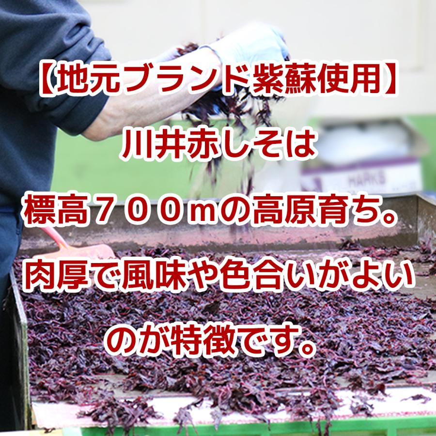 川井赤しそ＆塩蔵赤しそ液　自家製梅漬け用紫蘇セット　　岩手県宮古市産　片面赤紫蘇　塩蔵しそ　紫蘇液　梅干し用 |  | 04