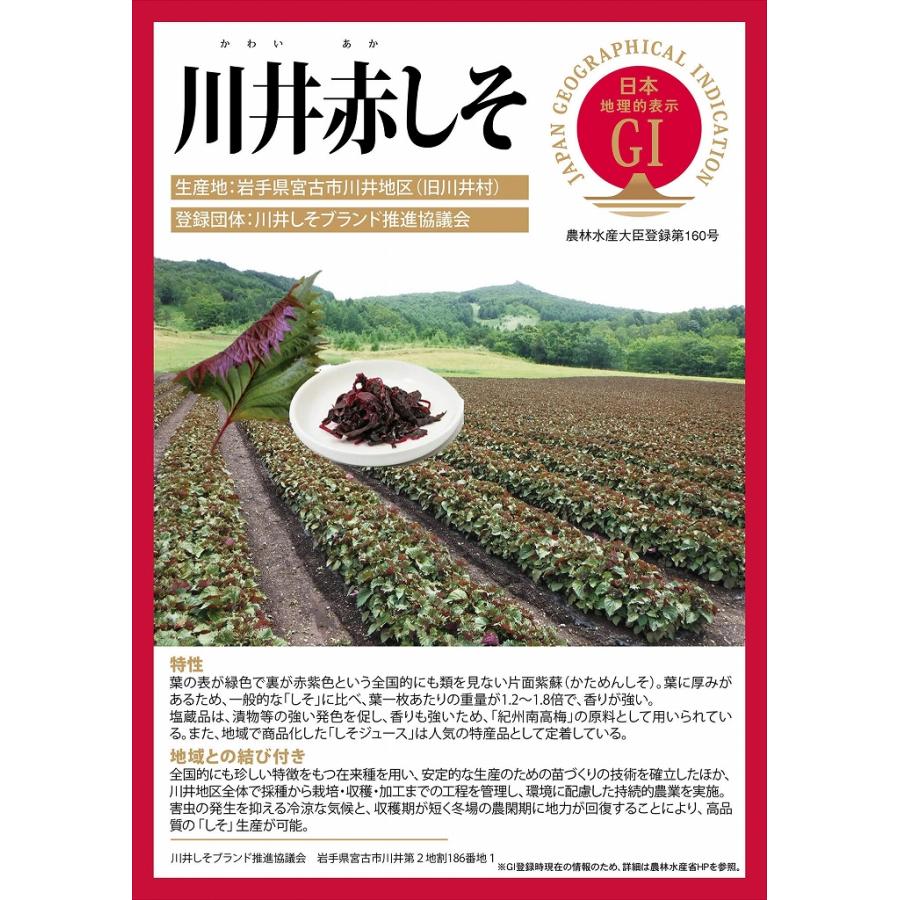 川井赤しそ＆塩蔵赤しそ液　自家製梅漬け用紫蘇セット　　岩手県宮古市産　片面赤紫蘇　塩蔵しそ　紫蘇液　梅干し用 |  | 05
