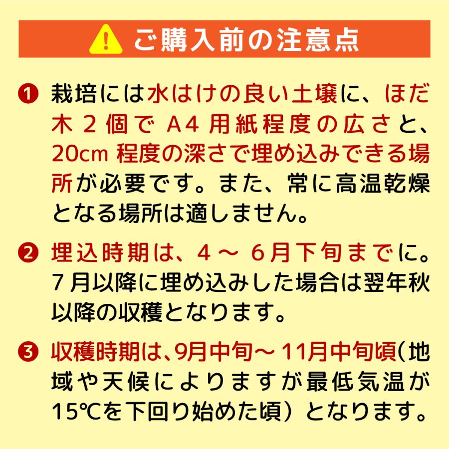 完熟舞茸ほだ木 2個セット／宮古市まいたけ研究開発センター ｜ 原木舞