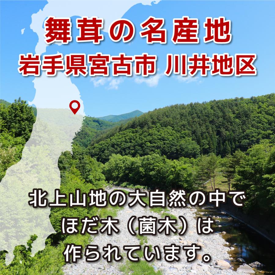 完熟舞茸ほだ木 2個セット／宮古市まいたけ研究開発センター ｜ 原木舞