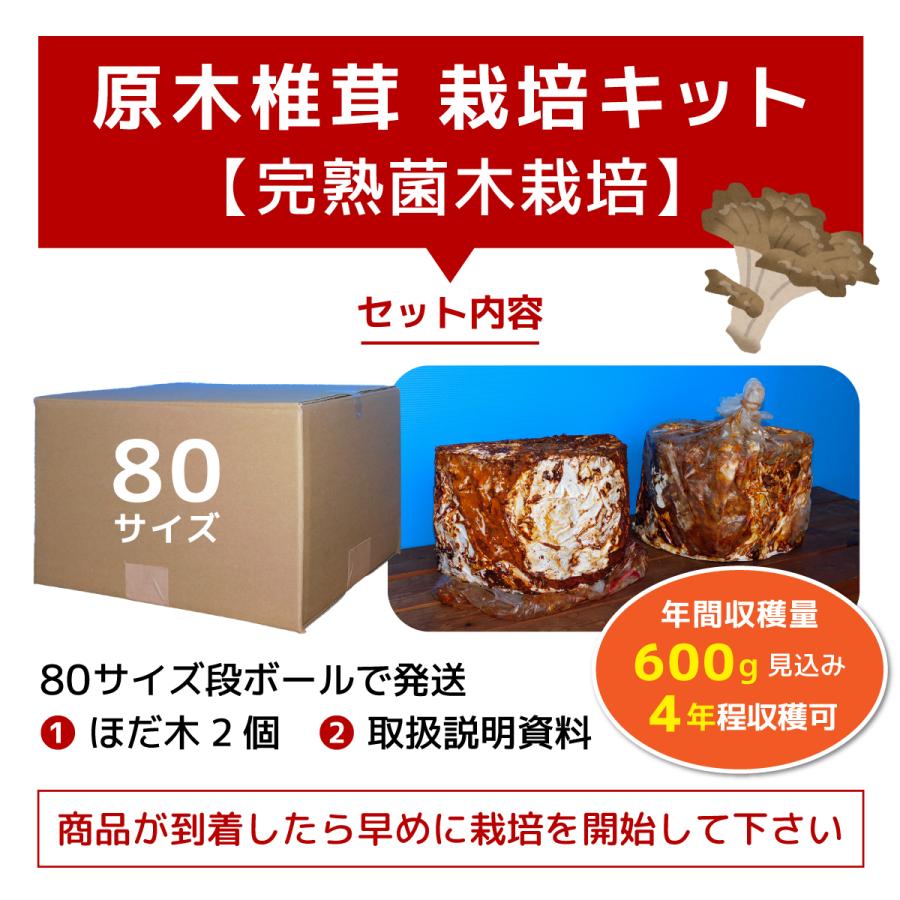 完熟舞茸ほだ木 2個セット／宮古市まいたけ研究開発センター