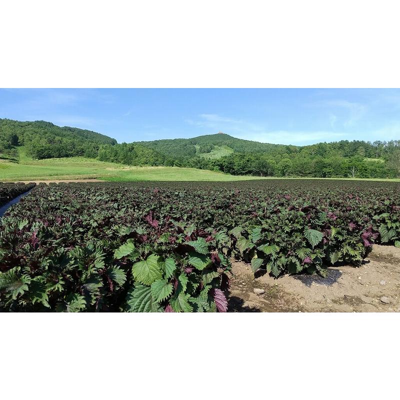 川井ペリーラ（紫蘇ドリンク）　720ml　　岩手宮古産　川井しそ　赤紫蘇　蜂蜜入り　ジュース風飲料 |  | 04