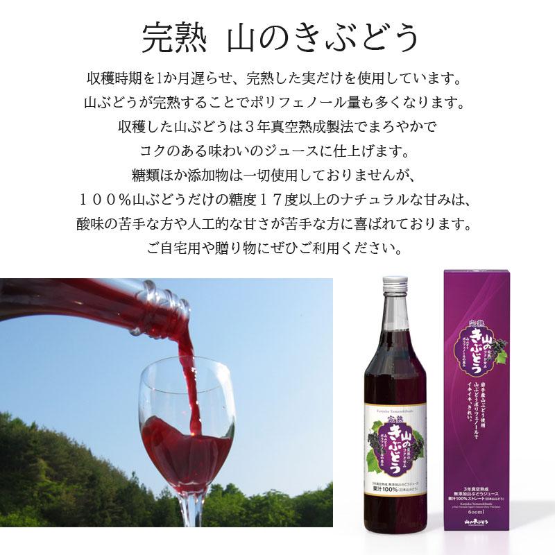 果汁100% 無添加 完熟山のきぶどう 600ml 贈り物 ギフト ヘルシー 滋養