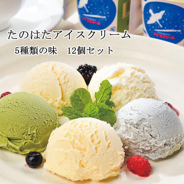 たのはたアイスクリームセット 12個 Agroferti Com Br