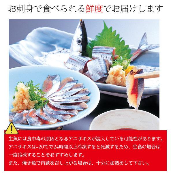 三陸 大船渡 生サンマを直送 鎌田水産 鮮さんま 18尾 K13 らら いわてyahoo 店 通販 Yahoo ショッピング