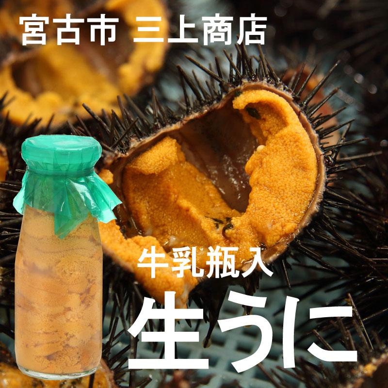 生うに 牛乳瓶入り 150g 1本 ミョウバン不使用 三陸産 宮古市 三上