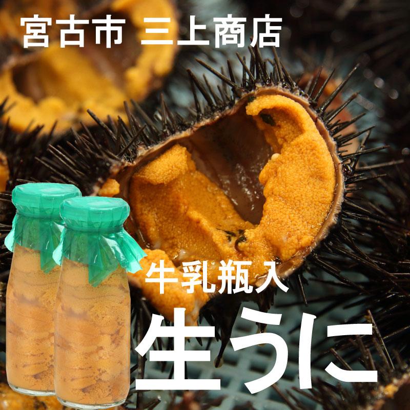 三陸岩手県産　漁師直送　牛乳瓶入り生ウニ 150g 2本 生うに 牛乳瓶入り 150g 2本 ミョウバン不使用 三陸産 宮古市 三上商店