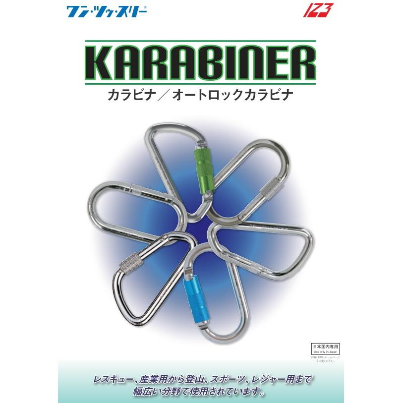 レビューで送料無料】【レビューで送料無料】123 ワンツゥスリー 伊藤