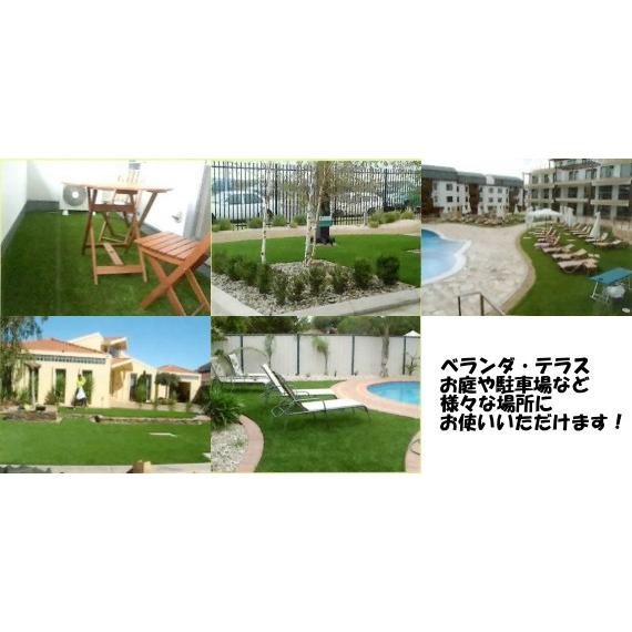 人工芝 リアリーターフ パイル長20mm×1m幅×10m巻 RET20-1-10 (メーカー直送品 代引決済不可)の画像