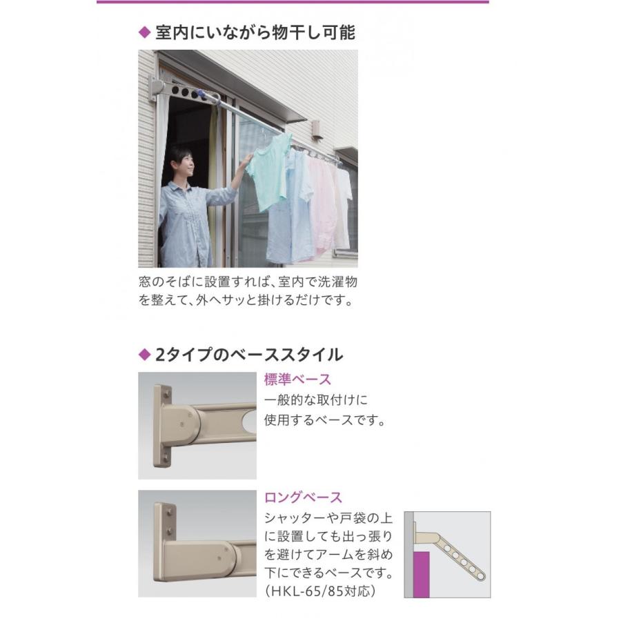ホスクリーン 川口技研 窓壁用 物干し金物 RK-55-ST ステンカラー 2本