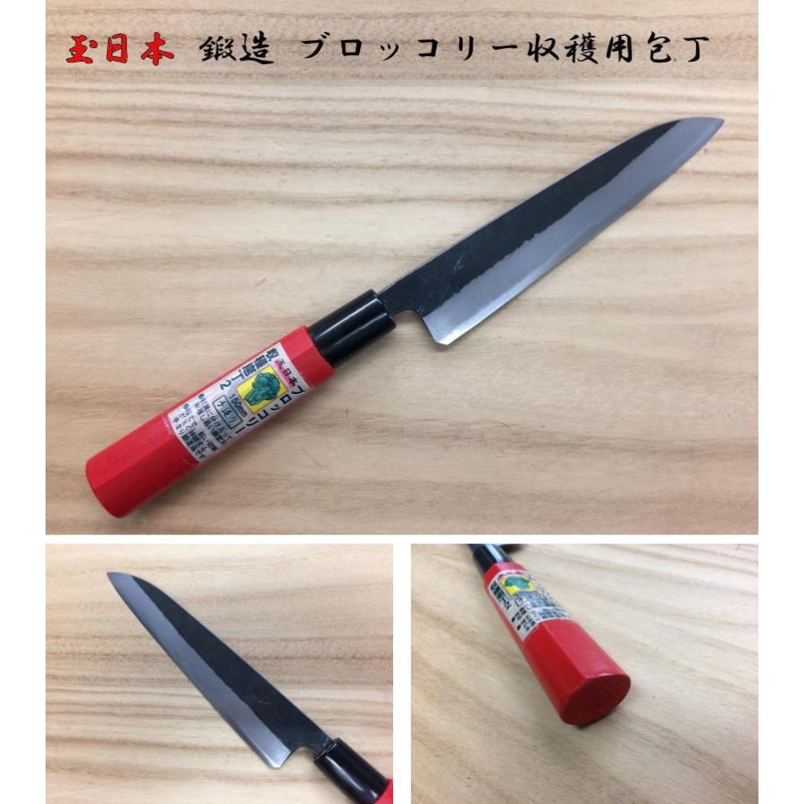 玉日本 ブロッコリー用 収穫包丁2 両刃 150mm 青二鋼 赤柄 * : 岩内
