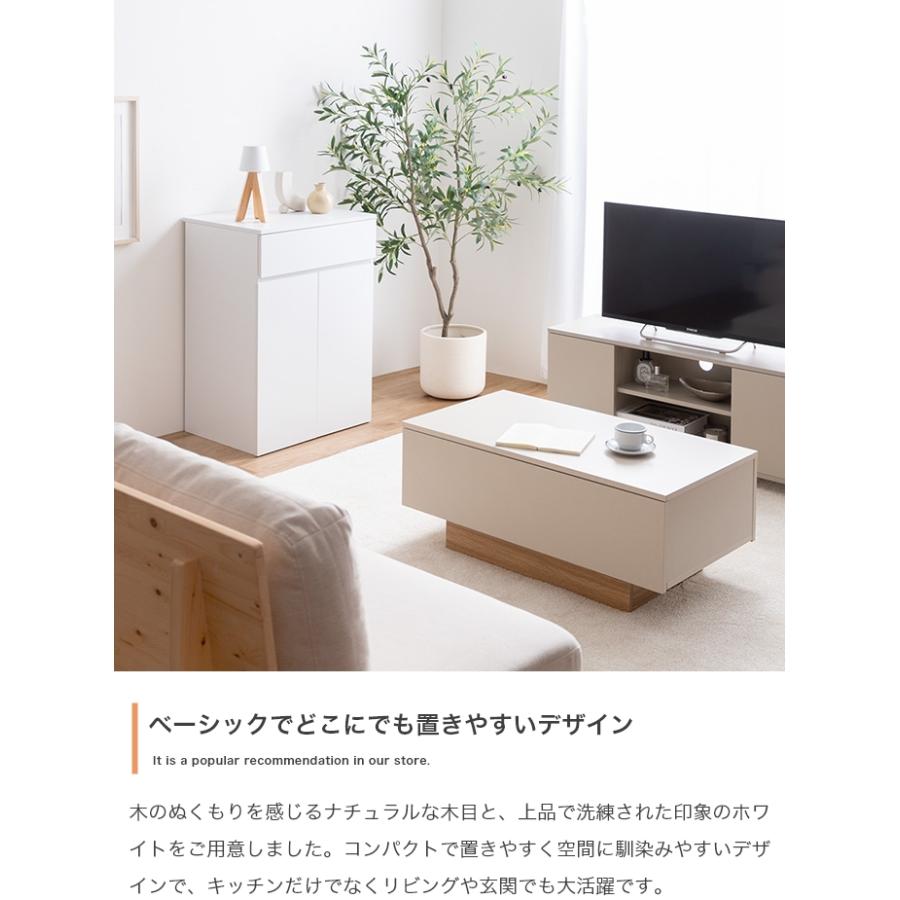 ゴミ箱付きキッチンカウンター 2連タイプ 幅56cm 奥行42cm 高さ80cm 分別 ダストボックス キッチン収納の画像