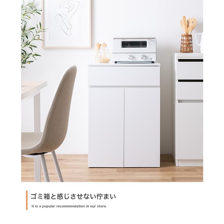 ゴミ箱付きキッチンカウンター 2連タイプ 幅56cm 奥行42cm 高さ80cm 分別 ダストボックス キッチン収納の画像