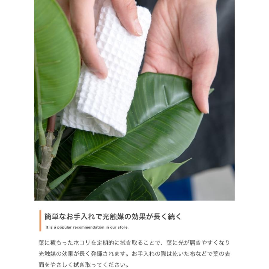 光触媒 人工観葉植物 パキラ 高さ90cm フェイクグリーン 消臭 抗菌