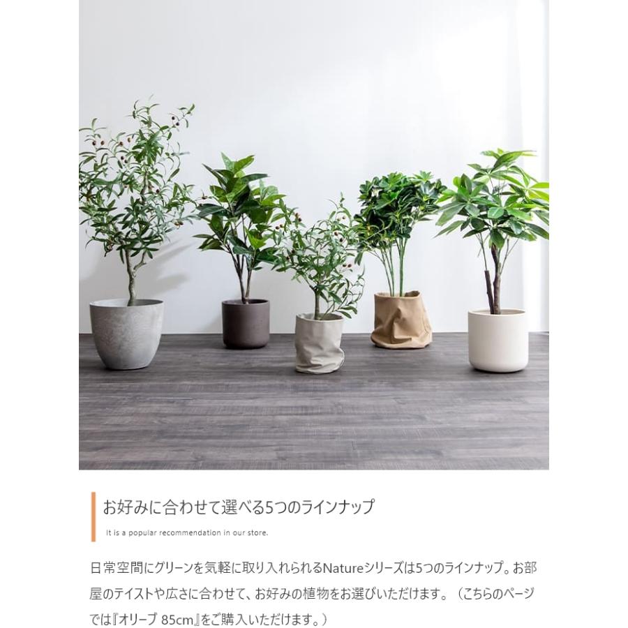 光触媒 人工観葉植物 オリーブ 高さ85cm フェイクグリーン 抗菌 防臭｜iwaya-mart｜11