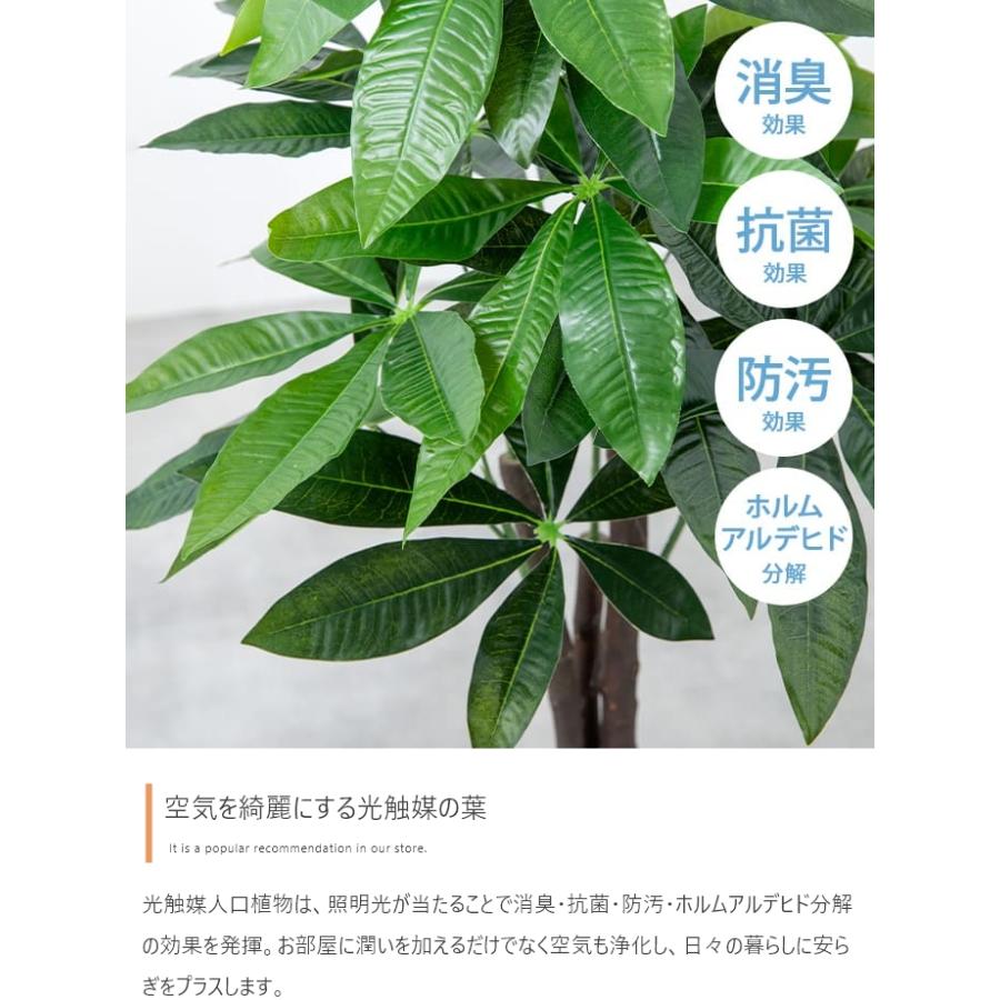 光触媒 人工観葉植物 オリーブ 高さ85cm フェイクグリーン 抗菌 防臭｜iwaya-mart｜03