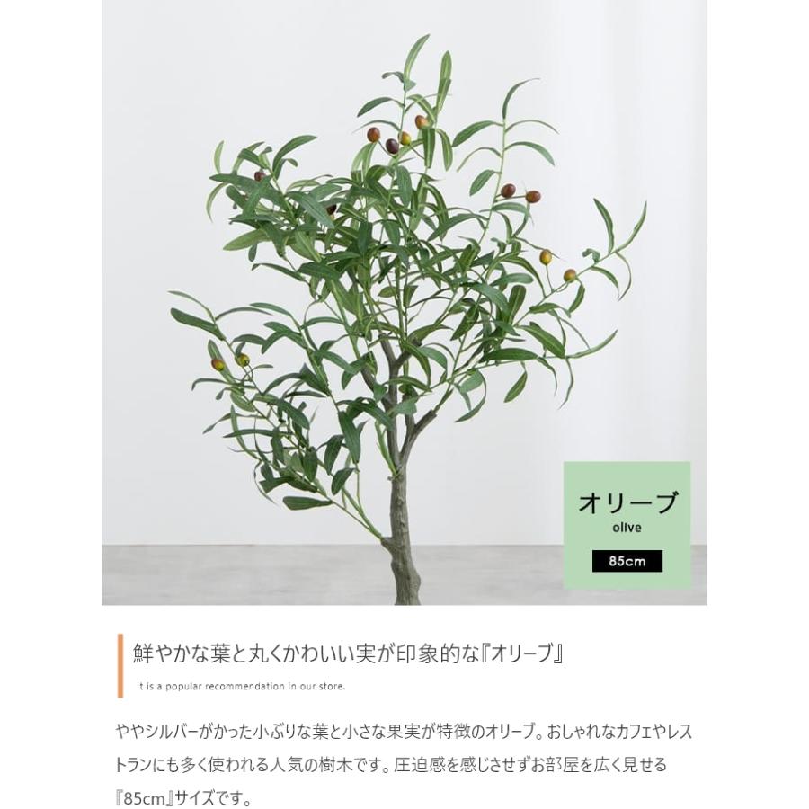 光触媒 人工観葉植物 オリーブ 高さ85cm フェイクグリーン 抗菌 防臭｜iwaya-mart｜04